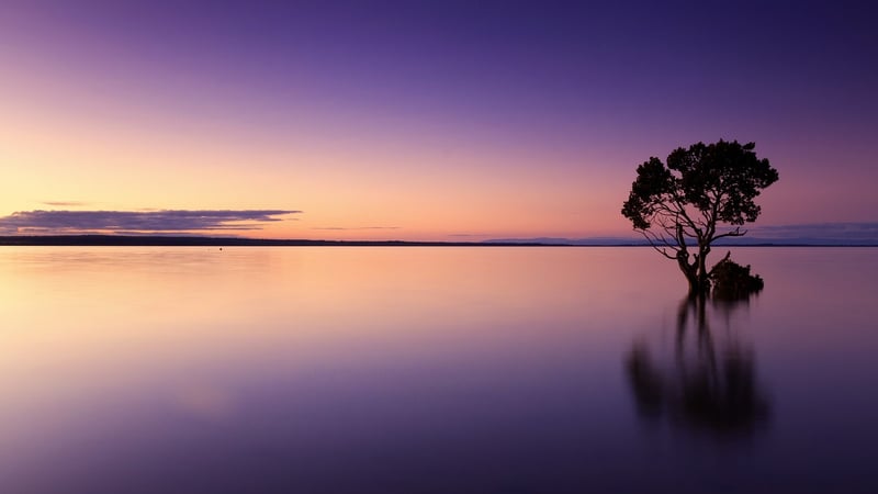 Dusk Wedding Photo